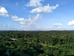 Eco Sanctuary (D23), Condominium #463089691
